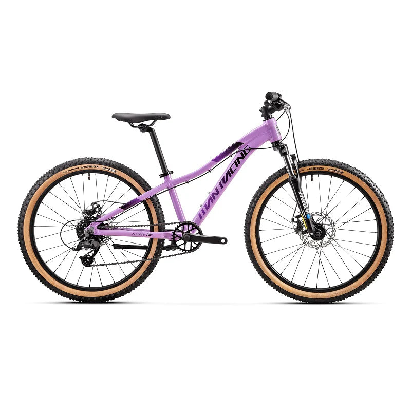 TITAN Calypso 24" Disc (2024) - purple